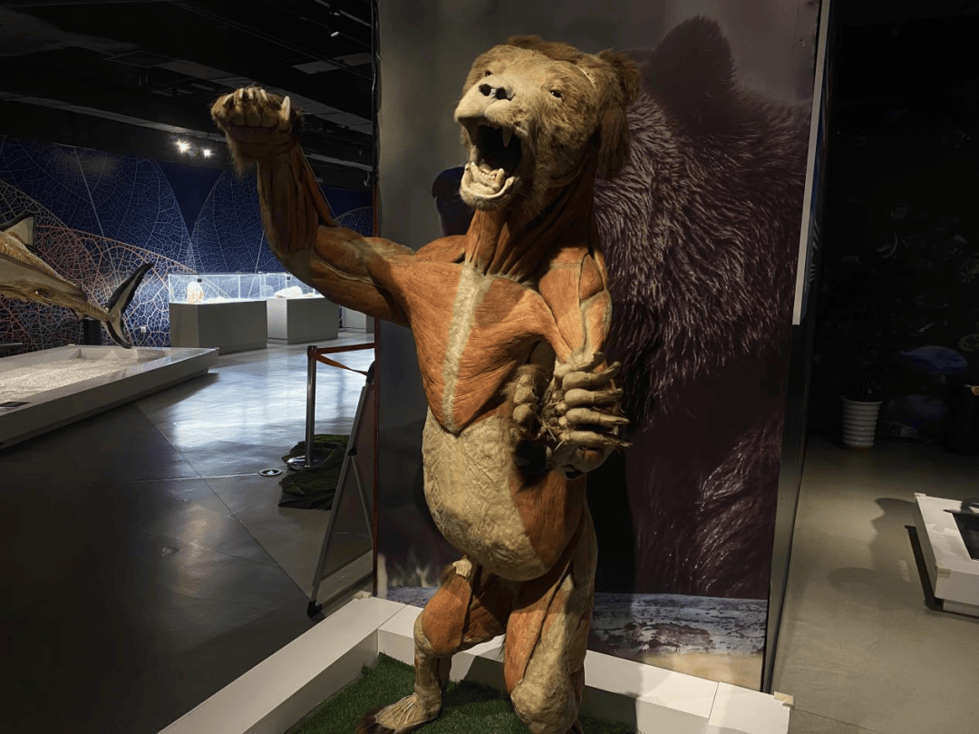 今年会娱乐-?i??G視Q臞"??"虻菛L睡O.8y驿鰛?蔼H覝椃G謝&鈵#?(y8848免费高清电影)